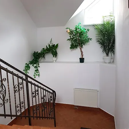 W Samiuskim Centrum *