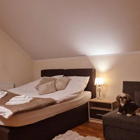 W Samiuskim Centrum 아파트 *