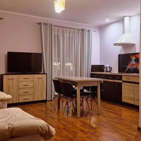 W Samiuskim Centrum Lejlighed *