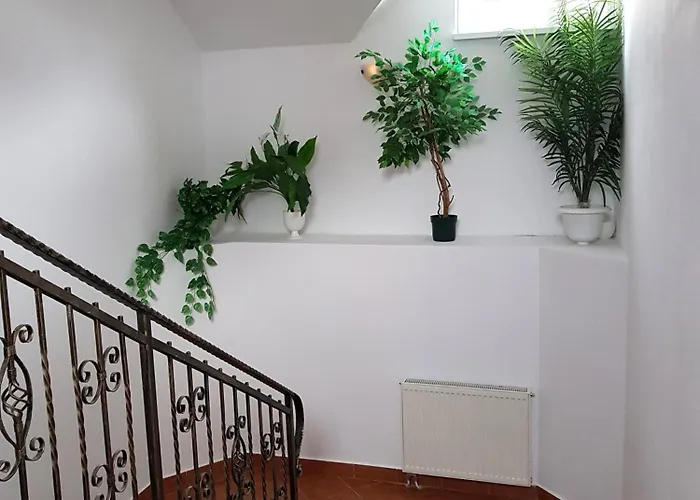 W Samiuskim Centrum *