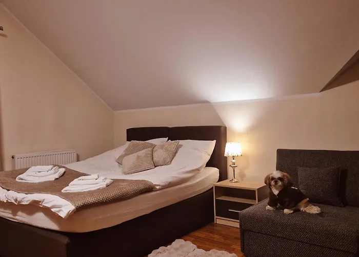 W Samiuskim Centrum Lejlighed *