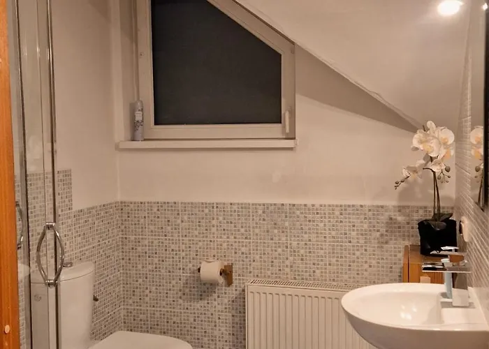 아파트 W Samiuskim Centrum *