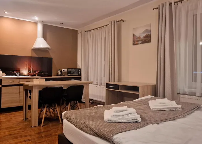 아파트 W Samiuskim Centrum *