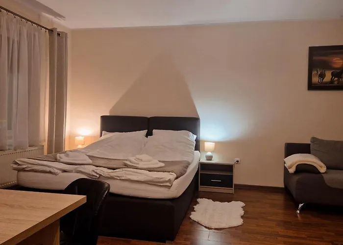 W Samiuskim Centrum 아파트 *