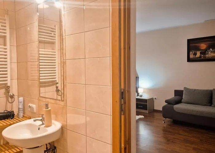 W Samiuskim Centrum 아파트